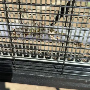 Bug Zapper Outdoor Solar Powered, Mosquito Zapper Indoor with 4500V High Powered, Electric Fly Zapper with Extension Cord and Grounding Bracket, Rechargeable Waterproof Mosquito Killer, Fly Zapper, Mosquito Killer, Electric Trap Ideal for Patio, Backyard