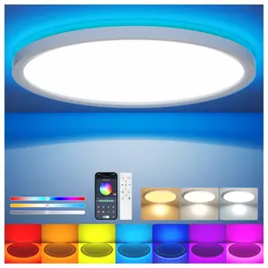 RGB LED Flush Mount Ceiling Light Fixture Remote & APP Control,LED Lights for Bedroom 7-Color Changing，12 inch 24W 2400LM Thin Round 2700K-6000K Dimmable Ceiling Light Fixtures for Bedroom, Living Room, Home Decor