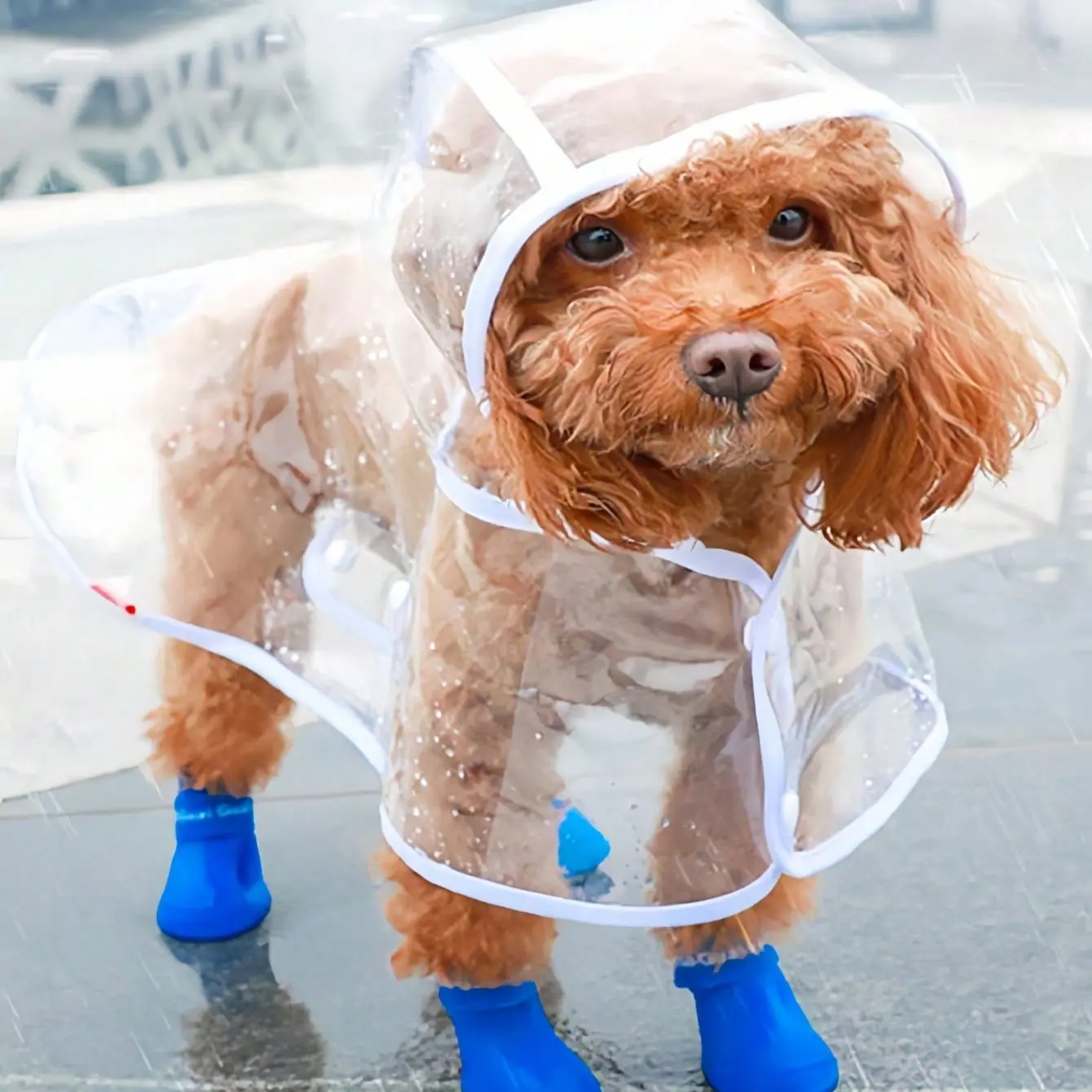 1Pc PU Waterproof Transparent Pet Outdoor Raincoat Outside, Ideal for Small Puppies, Poodle, Soft & Lightweight, Breathable with Adjustable Reflective Hood, All-Season Gift, Waterproof Puppy Poncho