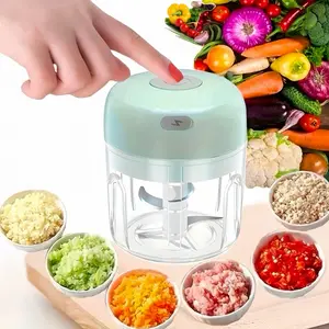 Electric Garlic Chopper, Food Chopper, USB Rechargeable Portable Food Processor, 250ML Kitchen Blender, Holiday use, Home Essentials, Household Appliances, Camping Travel Accessories