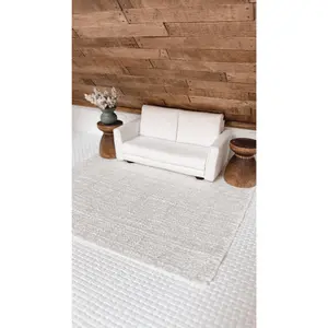 Ivory Shimmer Woven Area Rug