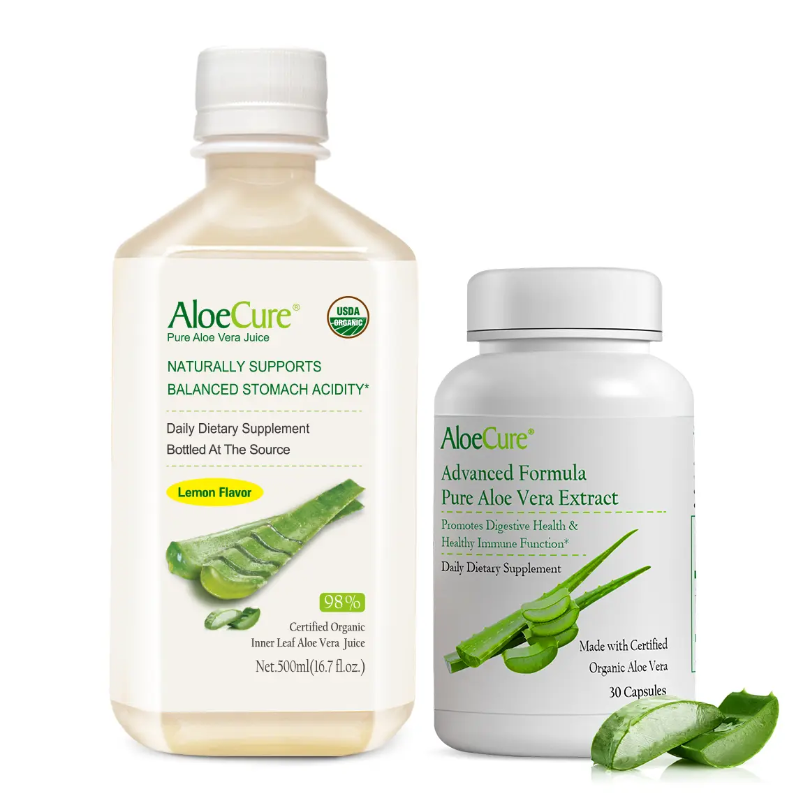 where can i buy aloe vera Aloe Ferox| Cape Aloe | Large Aloe Plants For Sale Online