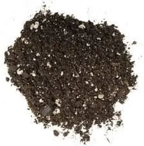 Bonsai Tree Soil All Purpose Blend - 6 Quarts - CZ Grain Brand 100% Organic All Natural Great for Fast Growing Bonsai Trees
