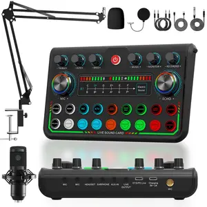 Professional Wireless Live Streaming Sound Card Equipment, Audio Podcast Equipment, Microphone Set, BT Connection, Support Mobile Phone/Computer/PC, Audio Interface, Live Sound Cards