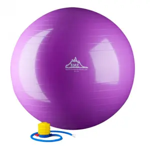 55 cm. Static Strength Exercise Stability Ball, Purple
