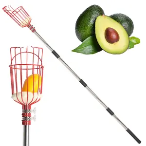 13FT Adjustable Fruit Picker Tool for Orchard & Backyard Harvest, Lightweight Stainless Steel with Foam Cushion, No Ladder Needed