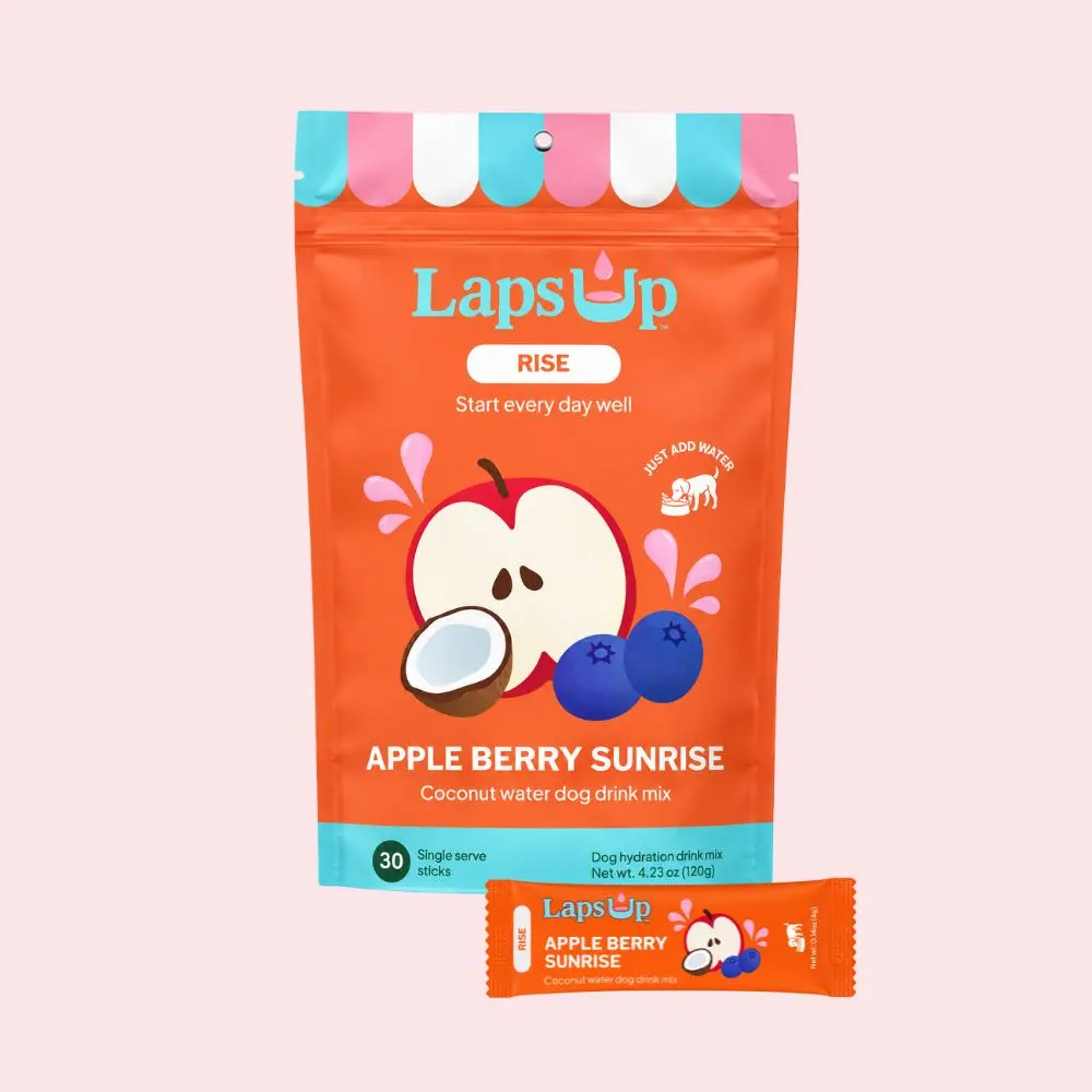 LapsUp RISE Dog Hydration Drink Mix – Apple Berry Sunrise, Coconut Water + Real Fruit (30 Servings)