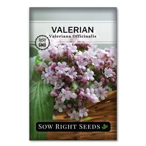 Valerian Seeds