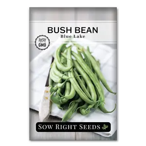 Blue Lake Bush Bean Seeds