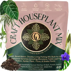 Craft Houseplant Potting Mix