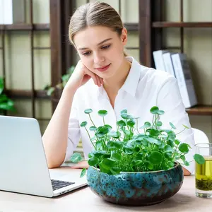 Vintage Ceramic Lotus Bowl Planter, Large Wide Mouth Glazed Water Lily Pot, Indoor Hydroponic Plant Container, Home Decor Pots, Home Simple Ceramic Pot (blue)