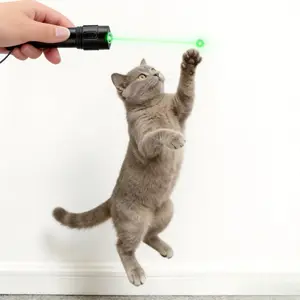 Rechargeable Laser Pointer, High Power Beam Light, Long Distance Range, Household Pet Cat Funny Toy Indoor Kitten Daily Playing Interactive Game Tool