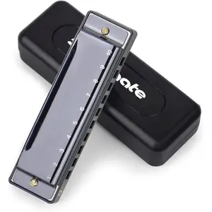 Blues Harmonic Mouth Organ 10 Hole 20  C Key with Case Diatonic Harmonica for Beginner, Students, Professional Player, Adult, Friends,  Black