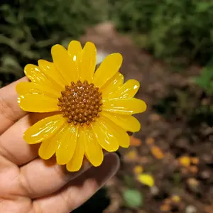 Sunflower Phone Grip Realistic 3D Resin Design with Magnetic Feature & Stand for Smartphones Includes Adhesive and Alcohol Pad for Easy Installation Mount, Mobile Phone Acessories