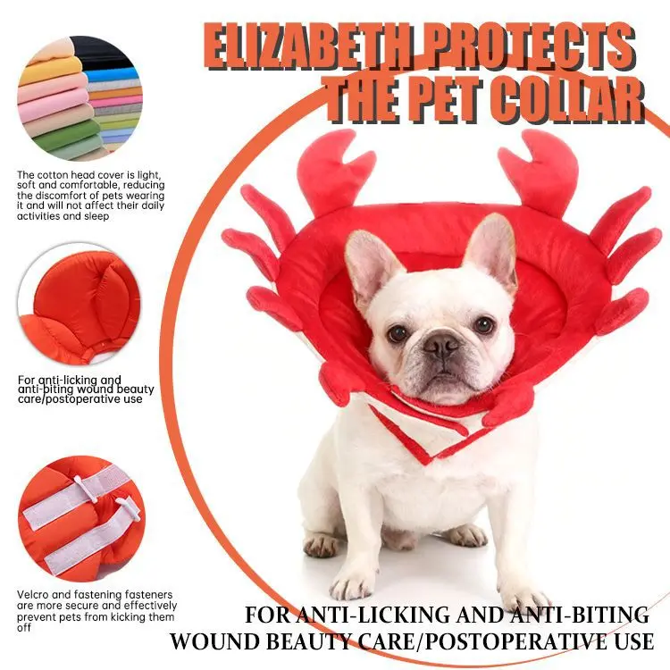 Direct from the manufacturer: Elizabeth collar for cats and dogs, adjustable, anti-licking, anti-scratch, pet protective collar