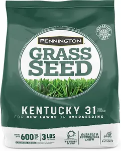 Pennington Kentucky 31 Tall Fescue Penkoted Grass Seed 3 lb
