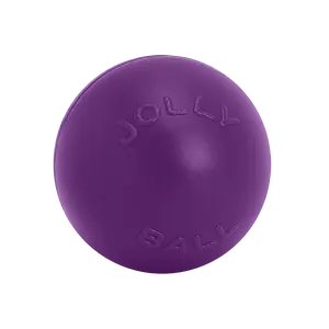 Jolly Pets Push-n-Play Durable Dog Ball – Tough Rolling & Floating Toy for Active Dogs