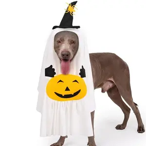 Pumpkin Ghost Costume Pumpkin Ghost Costume