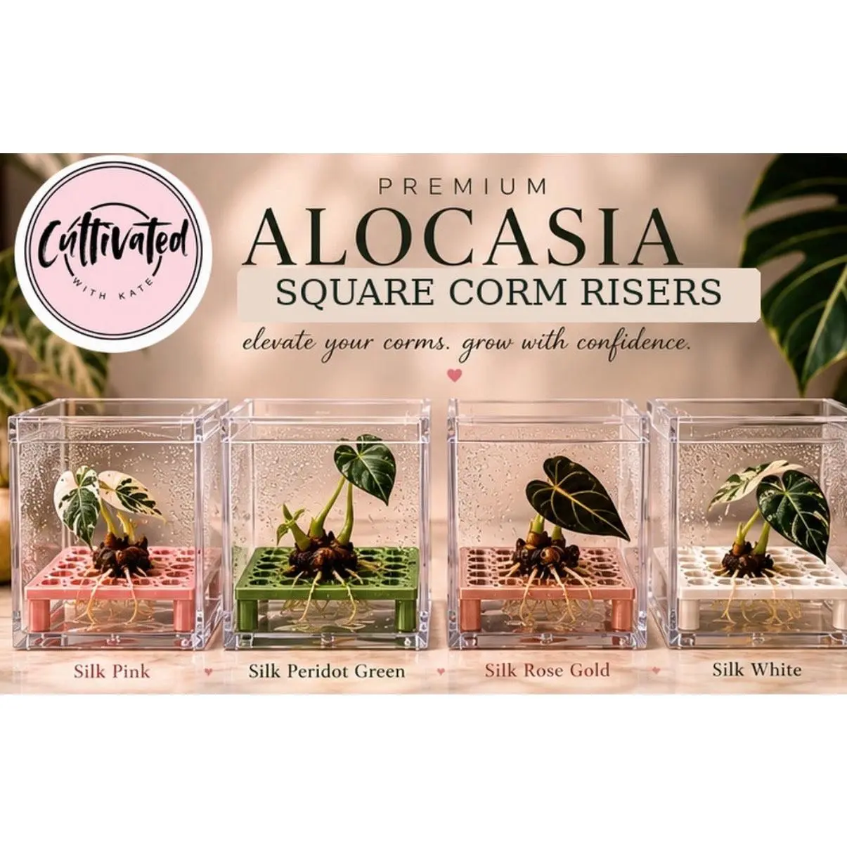 Square Corm Riser Bundle - Includes Risers + Containers, 3D Printed Display Boxes, Silk Organiser (Updated), Humidity Control