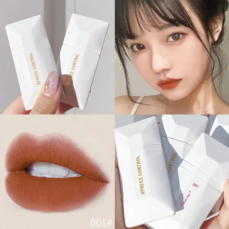 Lip Glaze Lipstick Lip Gloss Red Lipstick Orange Lipstick Brown Lipstick Lip Blush Blush Matte Lipstick Velvet Lipstick Long Lasting Lipstick Natural Unique Lipstick Makeup Waterproof Cosmetic