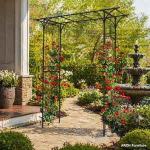 Black Metal Rose Arch with Anti-Rust Frame, 80.3in L x 20.47in W x 81.1in H Pre-Cut Garden Decor, Backyard Garden Accessories for Climbing Rose Plant Support
