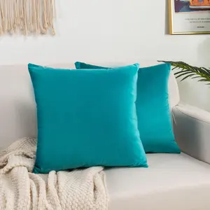 Elegant Comfort 2-Piece Velvet Cushion Cover Set - Soft and Luxurious Solid Pillow Covers with Hidden Zipper