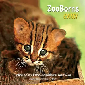 USED-ZooBorns Cats!: The Newest, Cutest Kittens and Cubs from the World's Zoos by Bleiman, Andrew (Paperback)