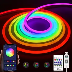 5v 3535 Rgbic Ws2812 Flexible LED Strip, Bluetooth-compatible + IR Dual Controller, Waterproof, Adjustable, Wall Mounted, Room Decor Lighting, Led Lights