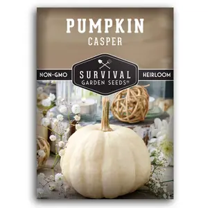 Casper Pumpkin Seed - grow  holiday favorites for carving or painting