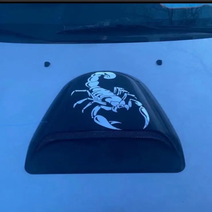 Scorpion decal, durable vinyl car window sticker for vehicle decoration