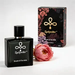 Men's Eau de Parfum 50ml – Aromatic Fougere with Bergamot, Elemi, Citrus, Geranium, Lavender & Vetiver – Long Lasting – Perfect for Spring Daily, Office, Romantic Date, Summer Party – Birthday Gift for Him, Christmas Gift for Boyfriend, Father's Day Gift
