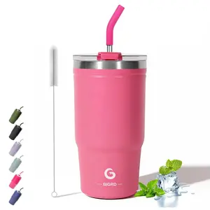 BIGRD 20oz Insulated Coffee Cup with Straw and Lid, Leakproof Tumbler, Stainless Steel Leakproof Office Water Bottle, Keeps Drinks Cold and Hot 8 Hours