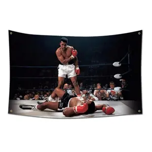 Light Peach Velvet Boxing Tapestry Wall Hanging Backdrop - Motivational Home Decor, Men's Home Gym Decoration, Festival Gift for Boyfriend