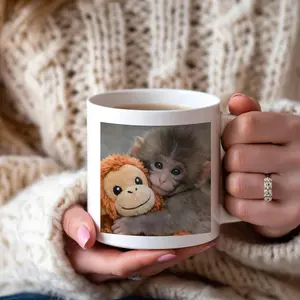 Punch Monkey Ceramic Mug, Trending Baby Monkey Mug, Life’s Not So Bad When You’re Around Mug,11 oz 15oz Coffee Mug, Viral Punch Monkey Hug Mug