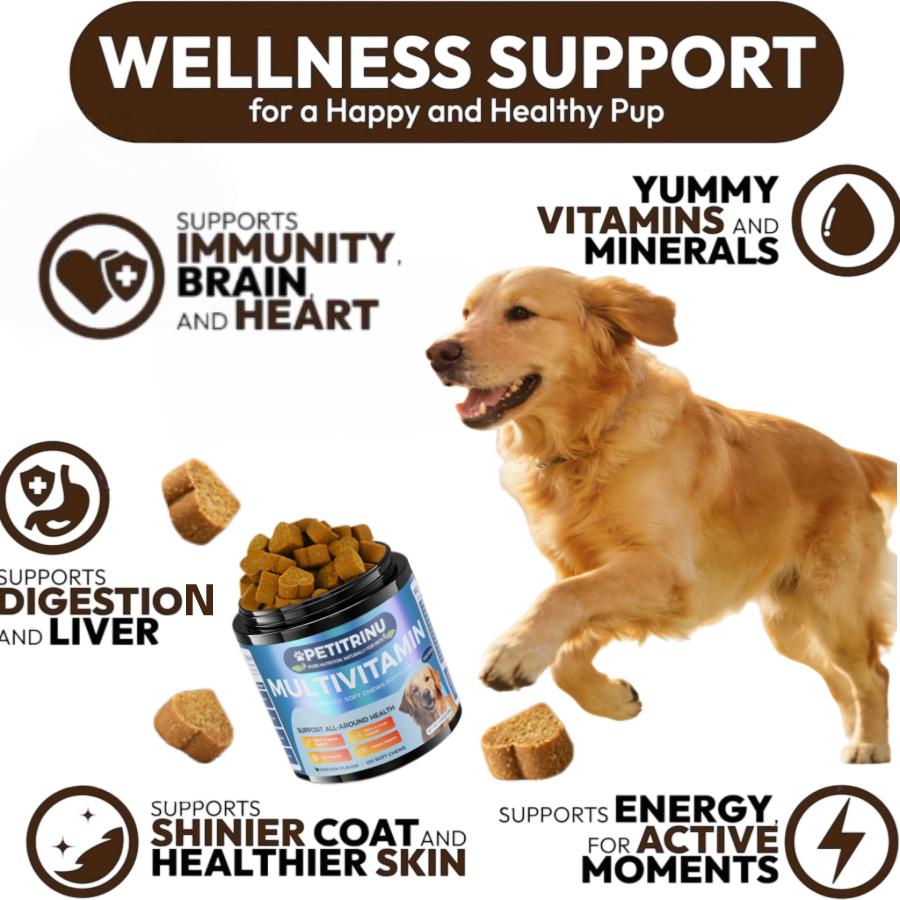 Dog Multivitamin Supplement with Glucosamine & Probiotics - Hip & Joint Support, Digestive Health, Immune Support, Heart & Skin - All-in-One Daily Vitamins & Omega-3s (CHICKEN Flavor, 120 ct)