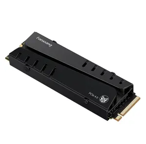 FANXIANG S770/S880ER 4TB NVMe M.2 SSD for PS5 with Heatsink and DRAM, Up to 7300MB/s PCIe 4.0, Perfect for PlayStation 5 Expansion, Gamers, and IT Professionals