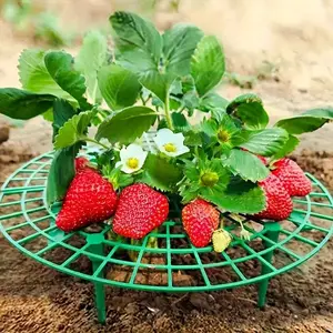 5-Piece Heavy-Duty Strawberry Watermelon Plant Stand, Three-Layer Stable Garden Support Rack, Space-Saving Crop Holder, Easy Assembly, Garden Supplies, Garden Essentials