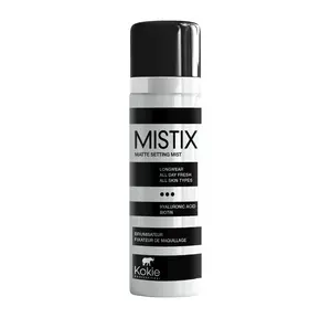 MISTIX SETTING SPRAY