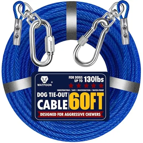 60ft Blue