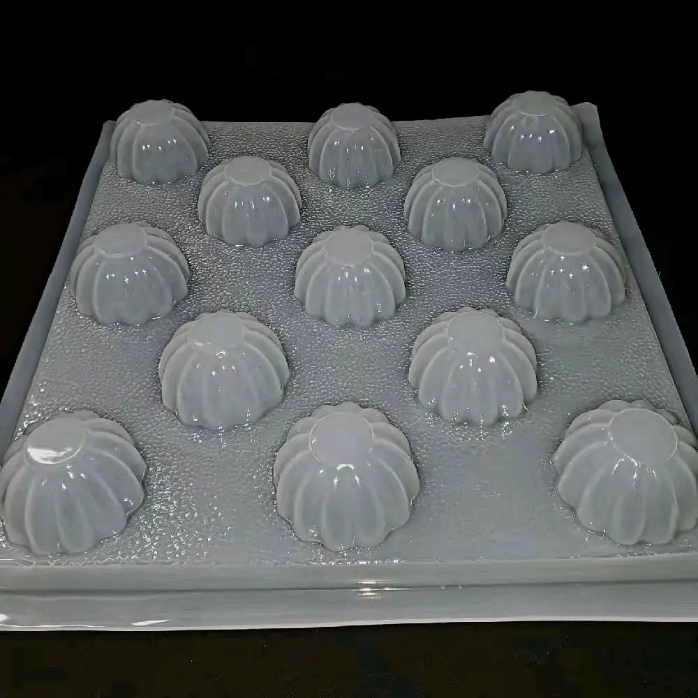 plastic gelatina mold
