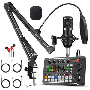 Professional Wireless Live Audio Device, Audio Podcast Equipment, Gaming Audio Mixer, Streaming Audio Mixer, USB Audio Mixer, BT Audio Interface for TikTok, Vocals, Live Streaming, Smartphone
