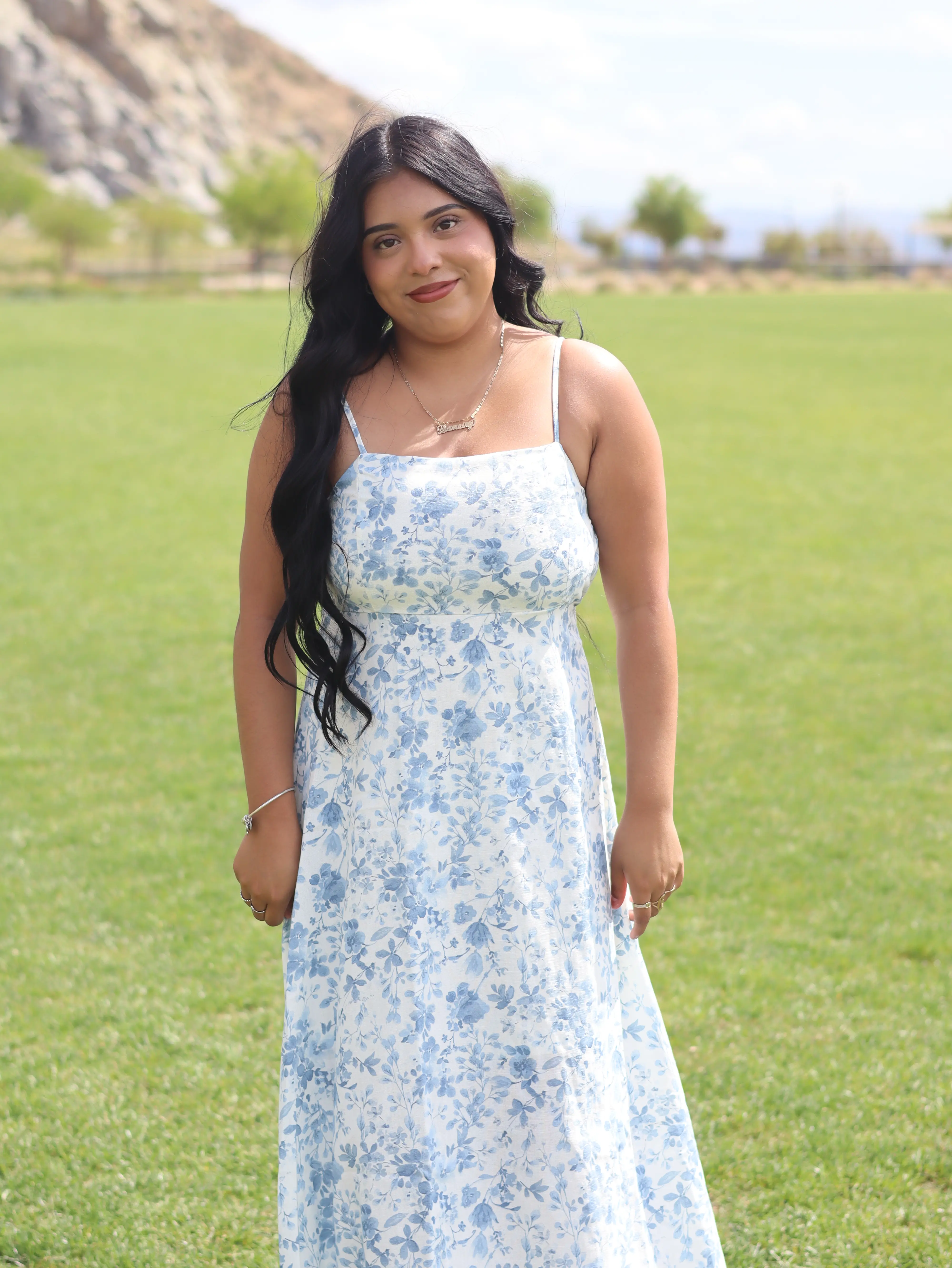 Blue willow floral Dress