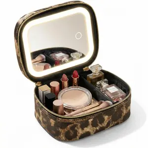 Portable Makeup Bag with LED Light & Mirror, Removable Battery-Powered Travel Cosmetic Case, Makeup Organizer Pouch & Box for Women, Makeup Storage Box
