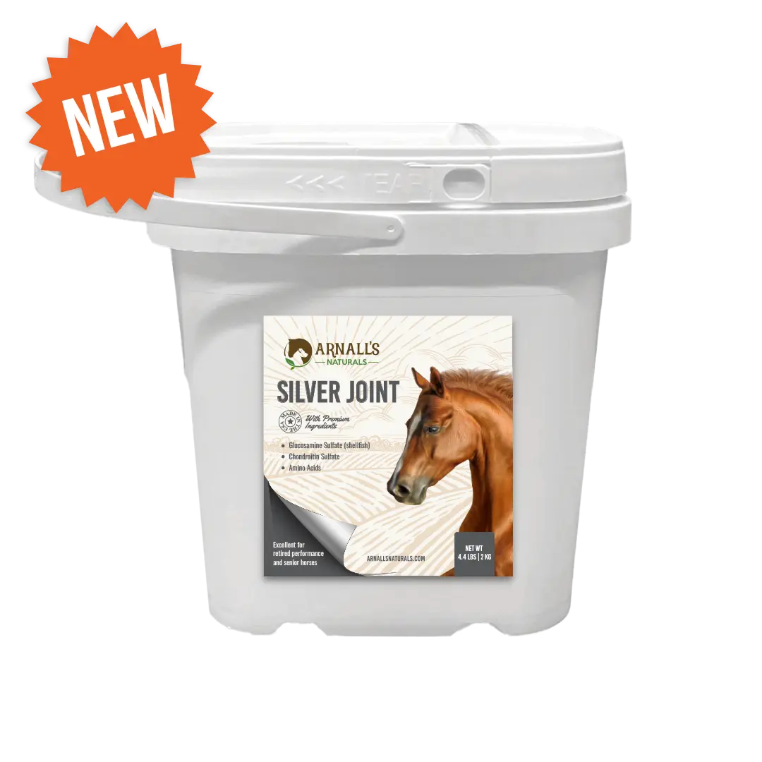 Silver: Joint - wellness and maintenance for senior horses