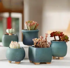 Large-Mouth Terracotta Succulent Pot · Mini Planter