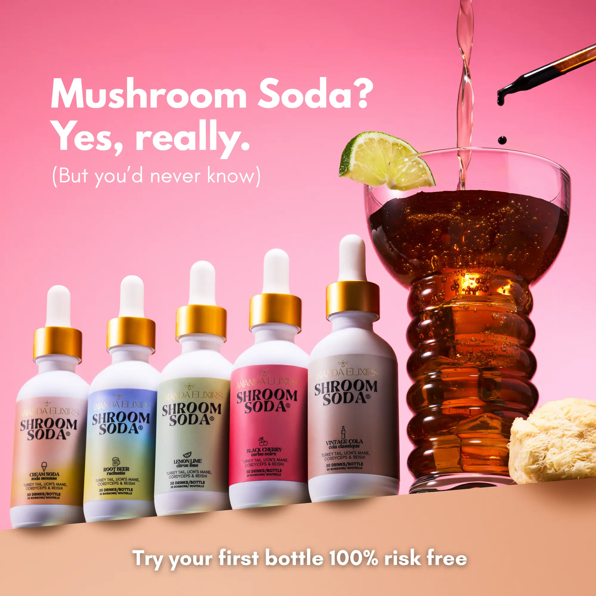 Shroom Soda® Shroom Soda®