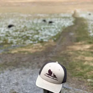 Khaki/coffee Richardson 112