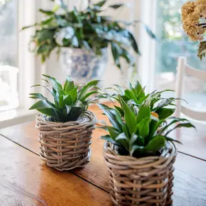 Rattan Flower Pot Basket with Plastic Inner