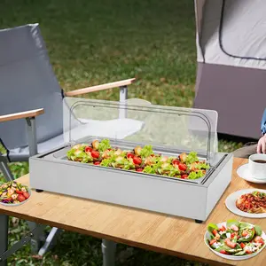 Ice Food Serving Display Tray, Buffet Cold Serving Cooler Platter with Clear Roll Top Cover & Ice Cooling Box, Party Platter Dish Plate Case for Seafood Sashimi Sushi Fruits Vegetables Desserts Salads
