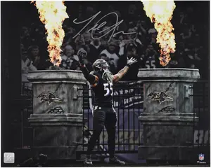 Terrell Suggs Baltimore Ravens Autographed "16 x 20" Entrance Spotlight Photograph - Fanatics Authentic Certified